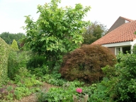 Voortuin