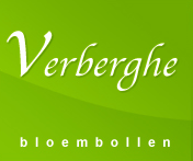 _verberg